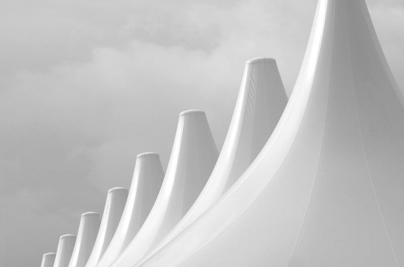 In Reih und Glied by Anne Seltmann