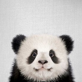 Baby-Pandabär von Gal Design