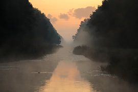 Morgendämmerung von cindy kuiphuis