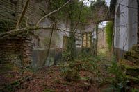 Wenn die Natur übernimmt