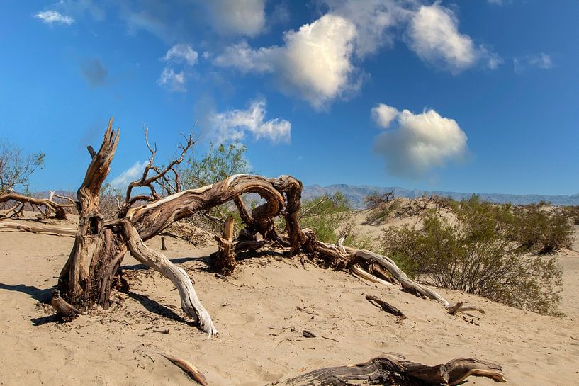 Sécheresse et chaleur du désert de la Vallée de la Mort, États-Unis par Gert Hilbink