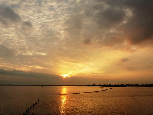 Dammetje in het Haringvliet op een zomeravond