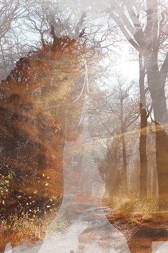 Abstracte fotografie | Abstract expressionisme | Modern abstract | Mystiek bos met paarden