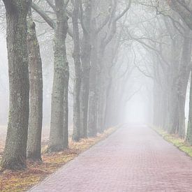 The Road to Nowhere van Rick Goede