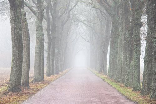 The Road to Nowhere by Rick Goede