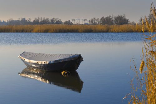 Ooijpolder Nijmegen sur Caroline Guerain