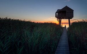 Alleine auf dem Steg zum Kiekkaaste bei Sonnenuntergang von Martijn van Dellen