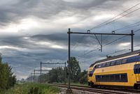 Trein onder Undulatus