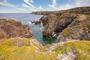 Spillars Cove Terre-Neuve