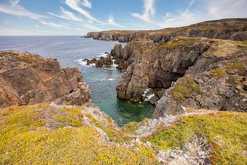 Spillars Cove Terre-Neuve