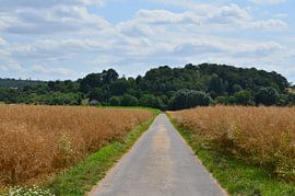 Ein kurzer Weg zu Fuß. von David Reiver