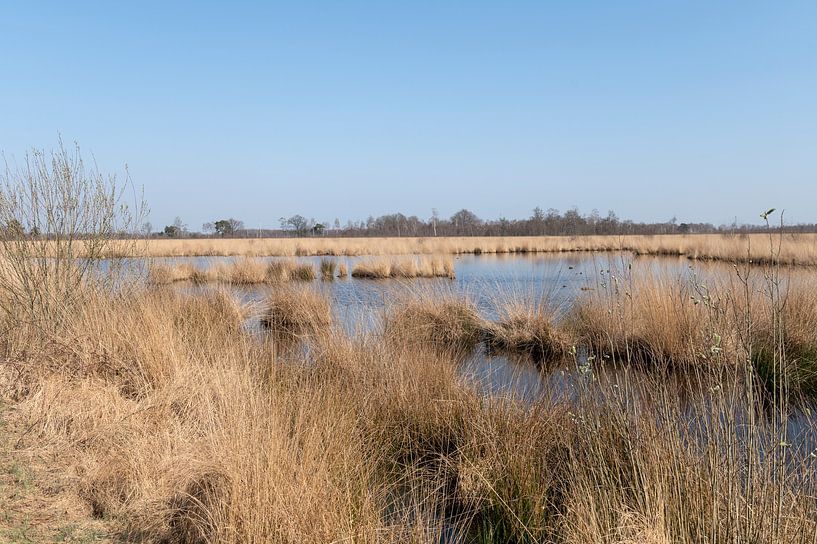 &quot;Three hundred Bunder" Mariapeel by Richard Wareham