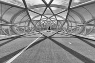 Fahrradbrücke mit Mittelspot von Eugene Winthagen Miniaturansicht