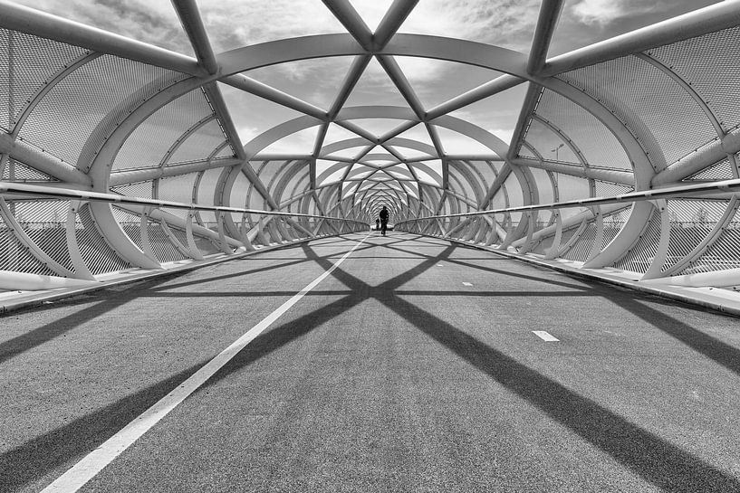 Fahrradbrücke mit Mittelspot von Eugene Winthagen