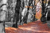Herfst