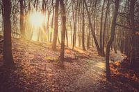Wintersun