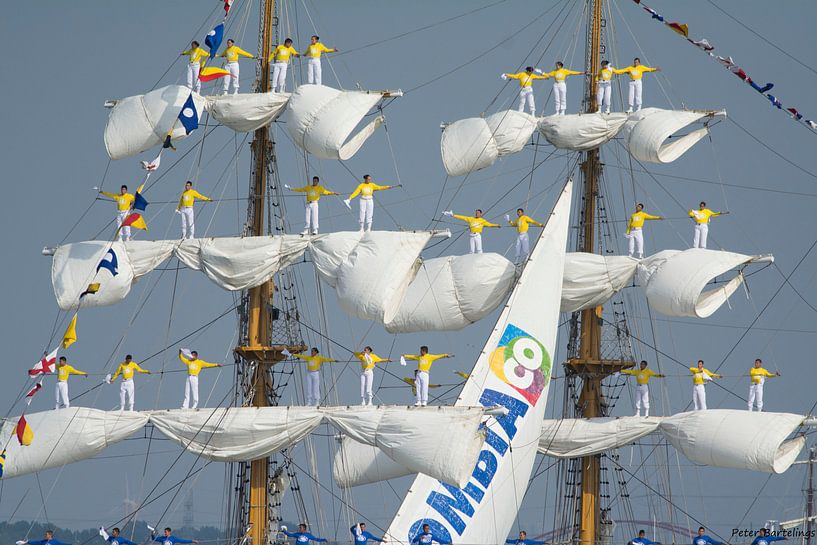 Sail 2015 von Peter Bartelings