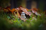 Stormtrooper im Herbst von Willi Schubert Miniaturansicht