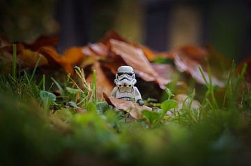 Stormtrooper in de herfst van Willi Schubert
