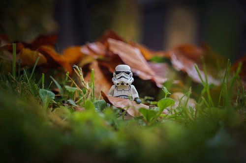 Stormtrooper in de herfst