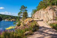 Landschap bij de baai van Stølekilen in Noorwegen van Rico Ködder thumbnail