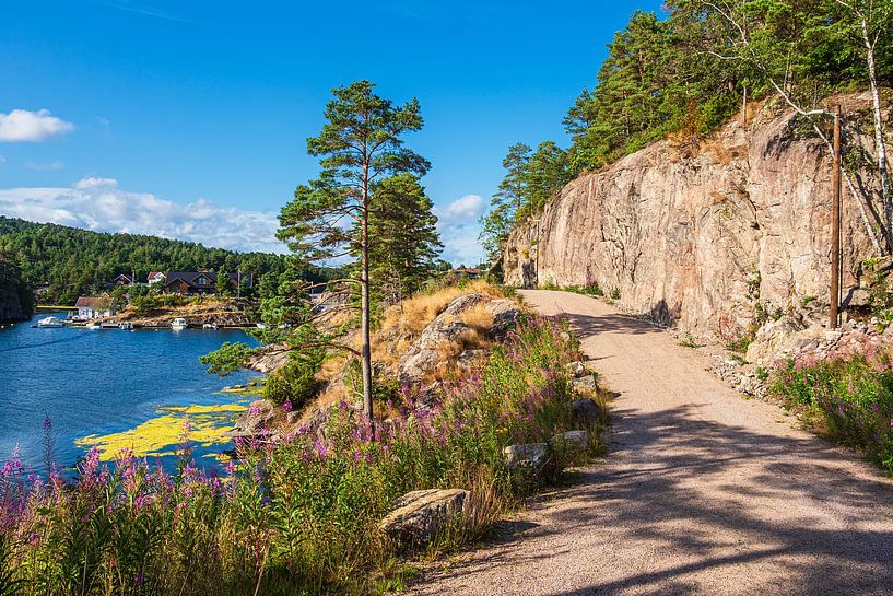 Landschap bij de baai van Stølekilen in Noorwegen van Rico Ködder