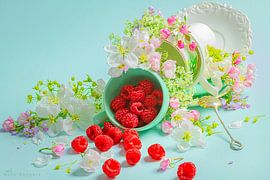 Himbeer-Genuss von Willy Sengers