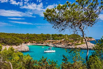 Belle baie de bord de mer, plage avec des bateaux sur l'île de Majorque, Espagne Mer Méditerranée sur Alex Winter