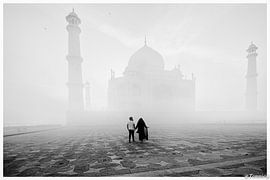 Taj Mahal , auf dem Weg nach ............. von Ton van den Boogaard