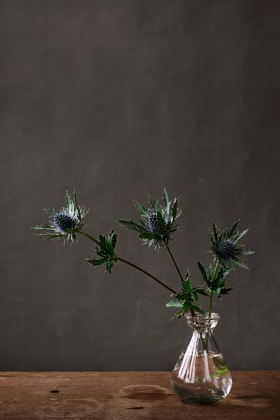 Disteln in Vase von Jenneke Boeijink