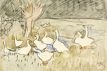 Ducks, Theo van Hoytema