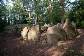 Hunebed D43 Langgrab von Richard Wareham