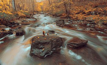 Der Herbst in den Ardennen