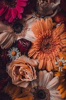 Still life Gerbera