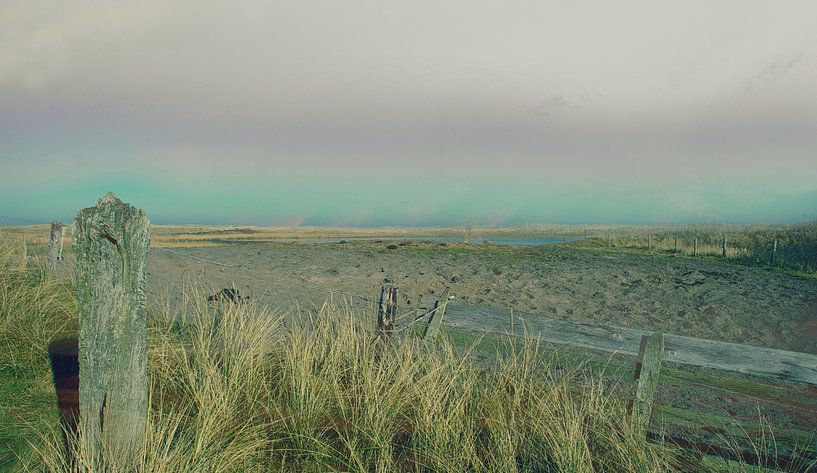 Ruig Texel by Hugo Kuijper
