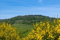 Panorama Montepulciano