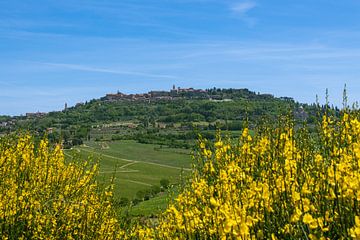 Panorama Montepulciano von Peter Baier