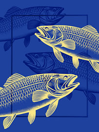 Plenty of Fish