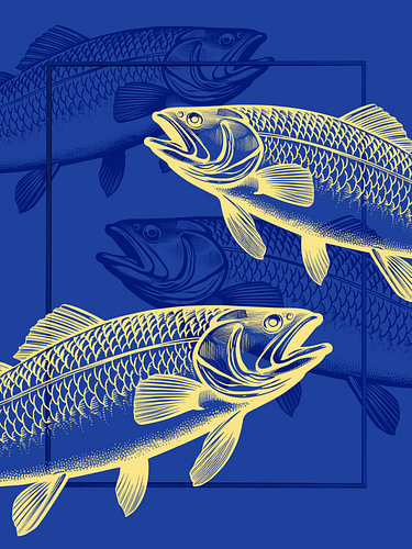 Plenty of Fish