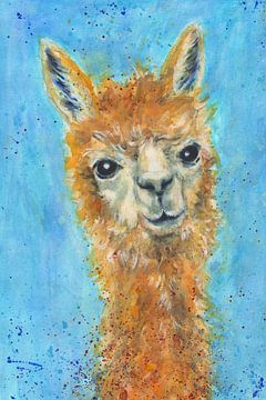 Farbenfrohes Alpaka Portrait von Karen Kaspar