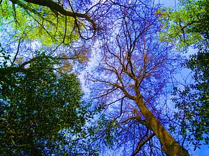 Tree Magic 160