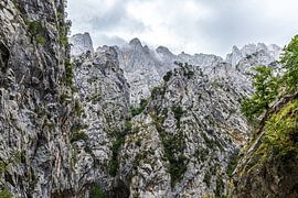 Mountains, Picos de Europa, Spain by Simone Diederich