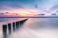 Palen in de Noordzee