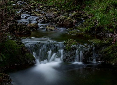 Genieten in de natuur.
