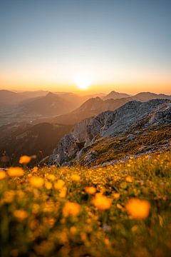 Flowery view of the Tannheim mountains at sunset by Leo Schindzielorz