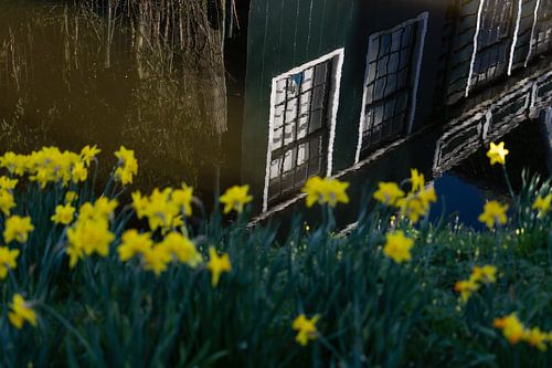 Spiegelung im Wasser