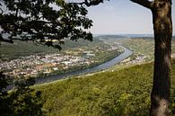 Panoramisch uitzicht op het Moezeldal en de stad Bernkastel-Kues van Reiner Conrad thumbnail