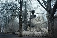 Photo of a winter landscape with a fairytale atmosphere by Joriali photography and paintings thumbnail
