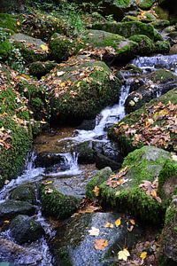 Gebirgsbach Schwarzwald 2.8