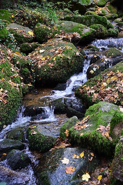 Mountain stream black forest 2.8 by Ingo Laue